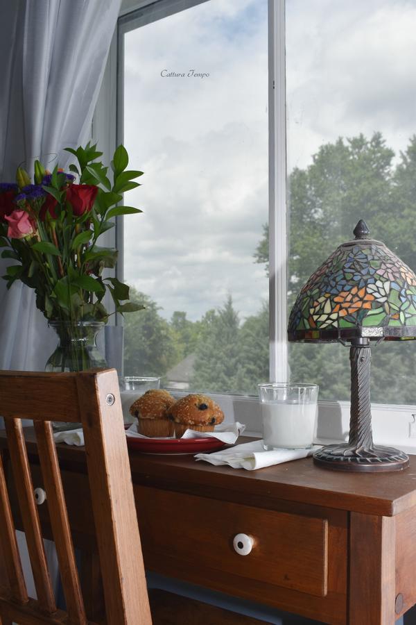 Winridge Manor Bed And Breakfast Madison Heights Zewnętrze zdjęcie